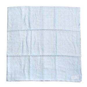 DIOR Blue Scarf